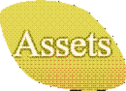 assets